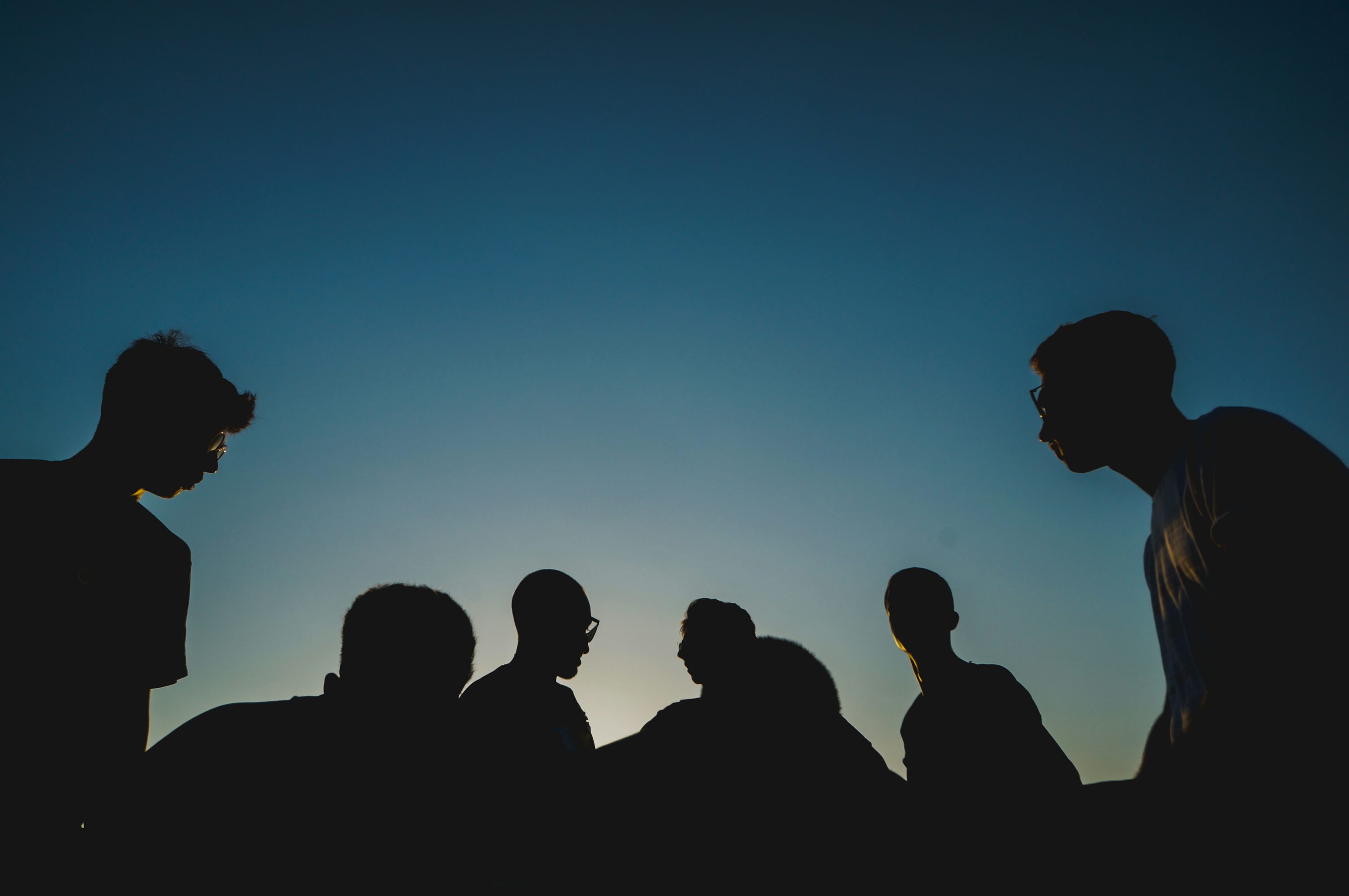 Meet the Team